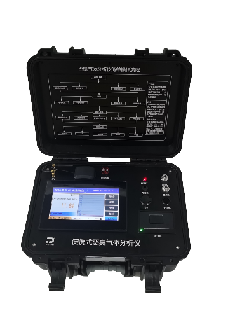 TP-IIC-01 型便攜式惡臭監(jiān)測儀